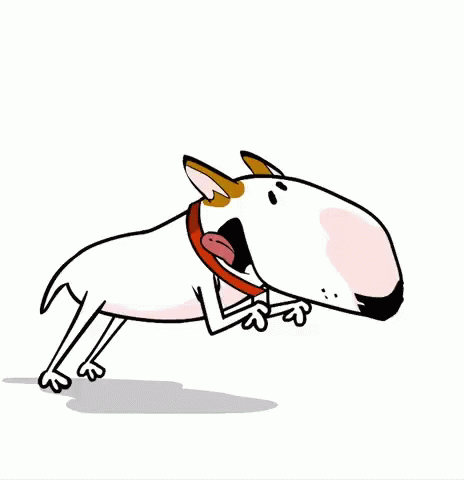 a dog running, with a hat on its head