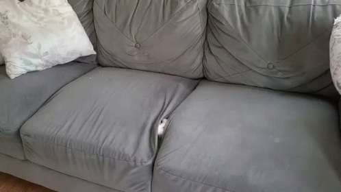 a grey couch is covered in white pillows