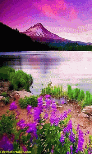 the painting depicts a beautiful mountain range, blue sky and pink flowers