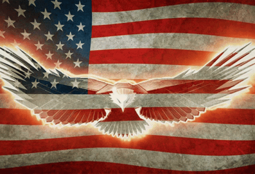 a picture of an eagle with an american flag