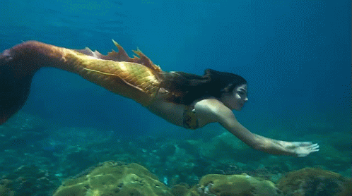 a mermaid in a sea bottom swims through the water