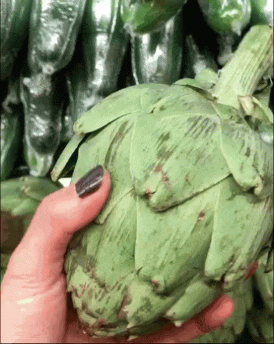 a person wearing purple gloves is holding up a large piece of artichoke