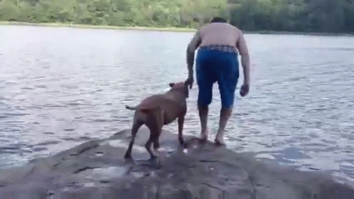 an older man and a younger dog standing on a rock