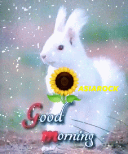 the rabbit is sitting next to a flower with the words good morning on it
