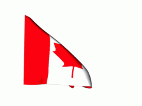 an umbrella with the shape of a canada flag