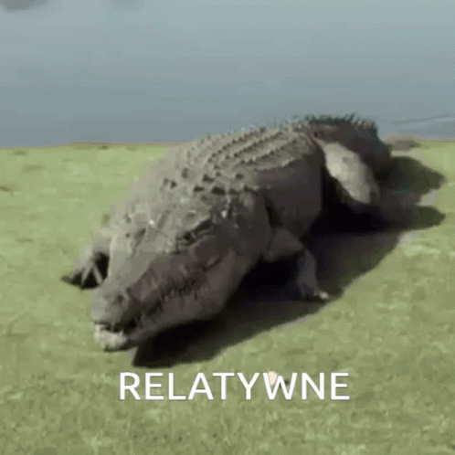 a small alligator laying on top of grass