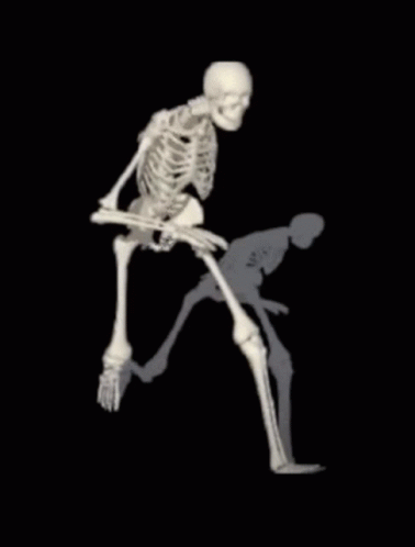 a skeleton standing behind another skeleton with a person kneeling down