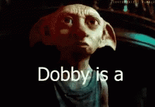 the cover of dobby is a weird looking dog