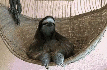 a sloty sitting in a grey hammock