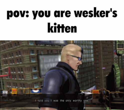 a poster with the words'pov you are wisker's kittenen '