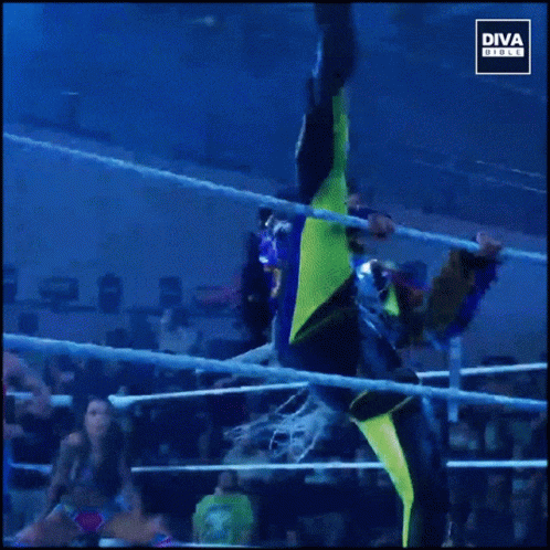 a man on top of a wrestling ring holding his hand in the air
