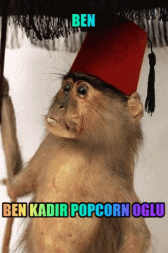 a monkey wearing a hat with a fringe and a message