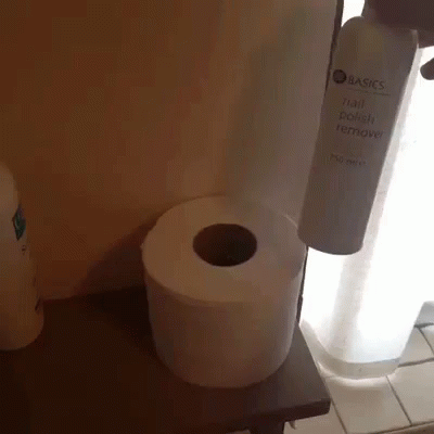 two toilet paper rolls are sitting next to a window