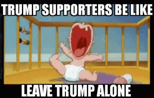 a cartoon character with words in it that says trump supporters be like leave trump alone