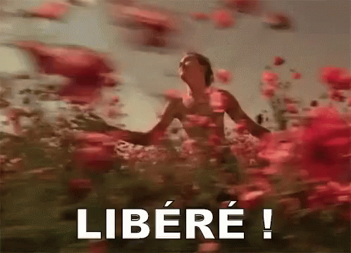 a blurry image of a woman in blue, with the words libere