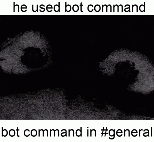 a picture with text stating it is a bot