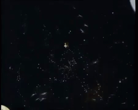this is an image of fireworks in the sky