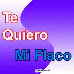 the cover to an mp3 titled mi flacco