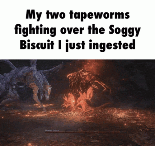 a funny po with text above it that reads, my two teepwoms fighting over the bogy biscuit i just ingested