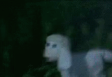 an animal is blurred in the dark behind