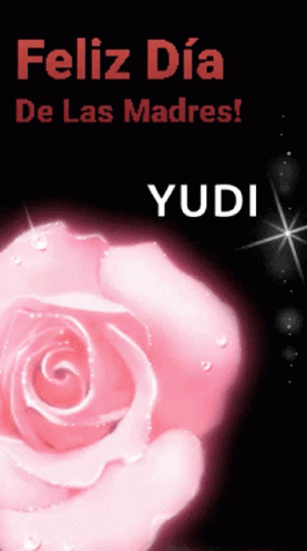 the cover of the novel yudi