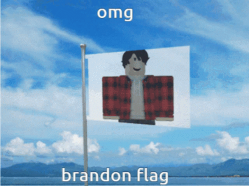 an artistic po of a person behind the flag on a cloudy day