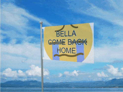a picture of a sign saying, bella come back home