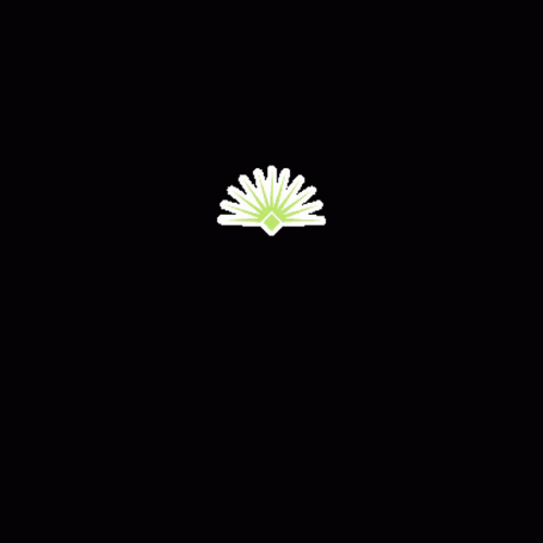 an abstract flower po is shown on a black background