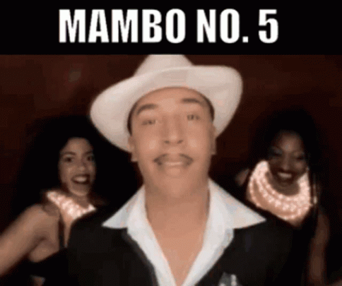 the cover for mambo no 5 with the caption