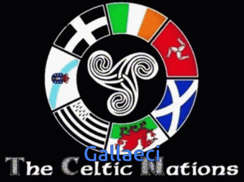 the celtic nations logo is seen on the front of a black shirt