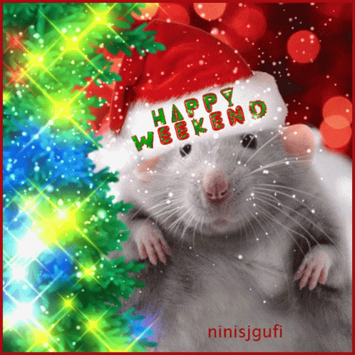 a rat has a happy merry weekend sign in it's hand