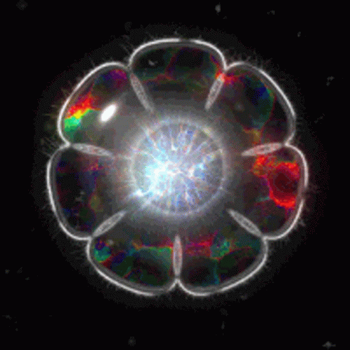 a flower shaped object is shown with some light on it