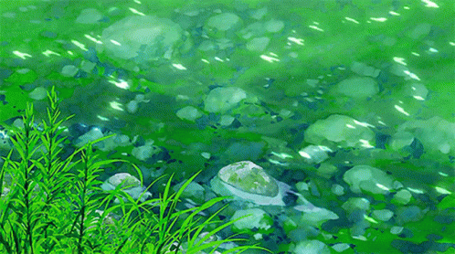 a close up of grass and rocks in a water