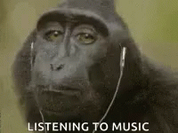 a monkey with a hoodie listening to music