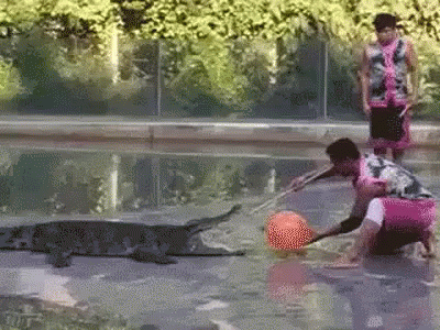 man chasing an animal in the water with a ball