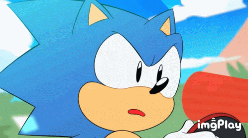 the game's character is the sonic character