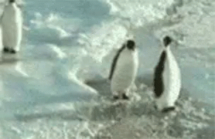 three penguins walking along the sand as waves crash on the shore