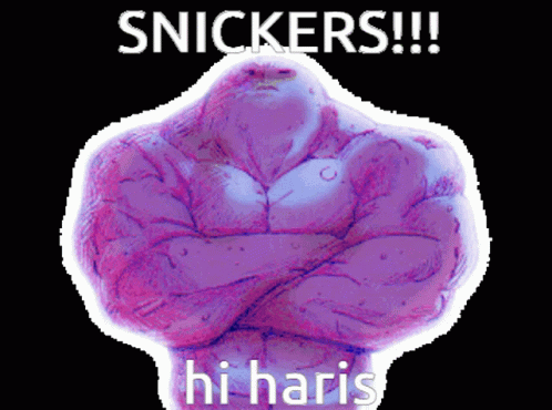 the words, snuakers hi harris on a po of a purple body
