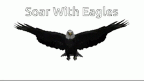 the eagle in flight with the words soar with eagles