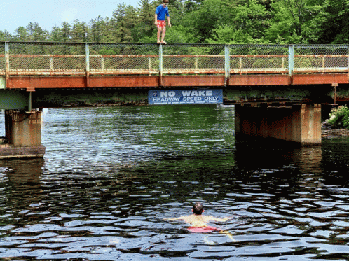 an animal swimming under a bridge over water