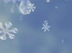 snowflakes are in the shape of a snowflake
