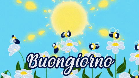 a background with white flowers and bees with the word buonocino