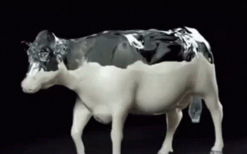a cow statue that has soing made out of aluminum