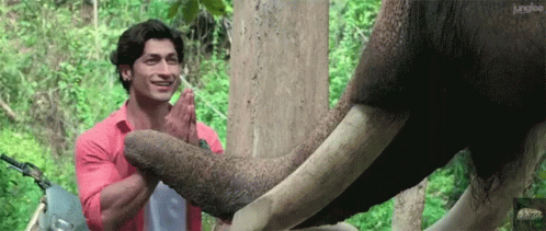 a person standing next to an elephant's trunk
