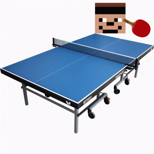 a ping pong table that is in action