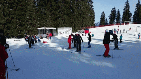 several people ski on snow - covered ground in a row