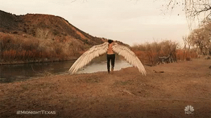 an angel is standing by some water with wings spread out