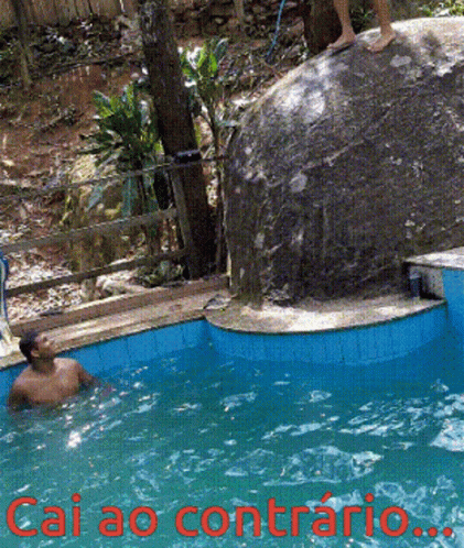a man with two dogs is jumping into a pool