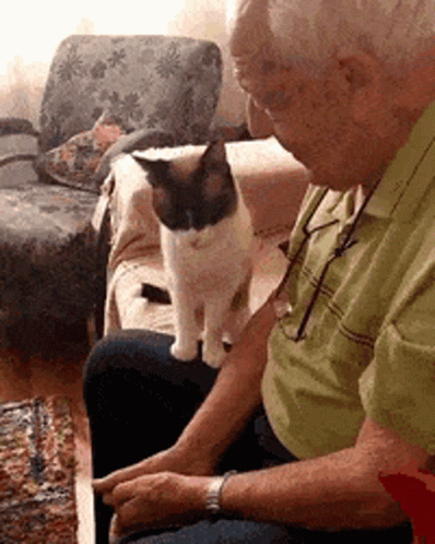 a cat sitting in front of an elderly man