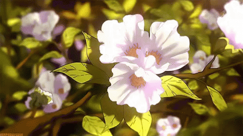 a digital image of pink flowers surrounded by leaves
